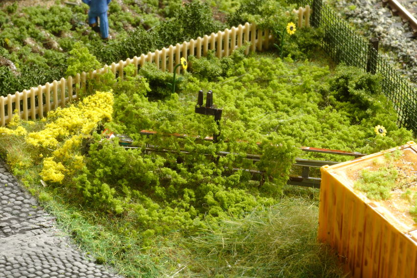 Schwarzburg im Jahr 2005
Ein altes abgelegtes Signal was von der Natur überwuchert wurde.
Keywords: Schwarzburg; 2005; Klein Garten Kolonie