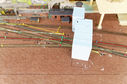 IMG_1831a_DxO.jpg
