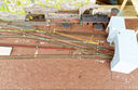 IMG_1854a_DxO.jpg