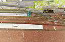 IMG_1856a_DxO.jpg