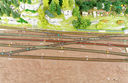 IMG_1863a_DxO.jpg