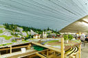IMG_5145a_DxO.jpg