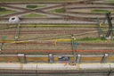 Filename=Oberleitung_0242.JPG
Filesize=1457KiB
Dimensions=1920x1280
Date added=Sep 28, 2017 Oberleitung_0242.JPG
