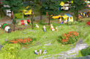 RM2A0039a_DxO.jpg