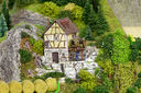 RM2A0203a_DxO.jpg