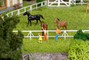 RM2A0205a_DxO.jpg