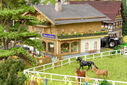 RM2A0206a_DxO.jpg