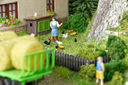 RM2A0219a_DxO.jpg