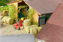 RM2A0220a_DxO.jpg