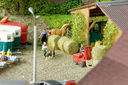 RM2A0222a_DxO.jpg