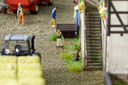 RM2A0227a_DxO.jpg