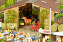 RM2A0241a_DxO.jpg