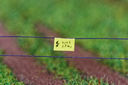 Filename=RM2A1050a_DxO.jpg
Filesize=1147KiB
Dimensions=1920x1280
Date added=Jul 16, 2017 RM2A1050a_DxO.jpg