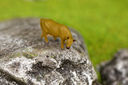 Filename=RM2A1055a_DxO.jpg
Filesize=1002KiB
Dimensions=1920x1280
Date added=Jul 16, 2017 RM2A1055a_DxO.jpg