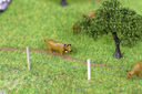 RM2A1060a_DxO.jpg