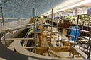 RM2A1208a_DxO.jpg