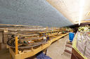 Filename=RM2A1293a_DxO.jpg
Filesize=1541KiB
Dimensions=1920x1264
Date added=Jul 16, 2017 RM2A1293a_DxO.jpg
