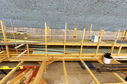 RM2A1377a_DxO.jpg