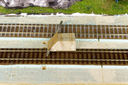 RM2A2073a_DxO.jpg