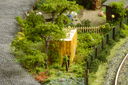 Schwarzburg_0050.JPG