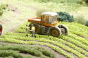Filename=Schwarzburg_0056.JPG
Filesize=1054KiB
Dimensions=1920x1280
Date added=Mar 15, 2013 Schwarzburg_0056.JPG