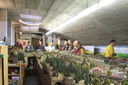 TDOT_20110115_0033.JPG