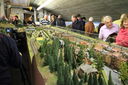 Filename=TDOT_20121125_0010.JPG
Filesize=1039KiB
Dimensions=1920x1280
Date added=Sep 28, 2017 TDOT_20121125_0010.JPG