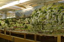 Filename=Wendelsteig_0096.JPG
Filesize=1162KiB
Dimensions=1920x1280
Date added=Mar 16, 2013 Wendelsteig_0096.JPG